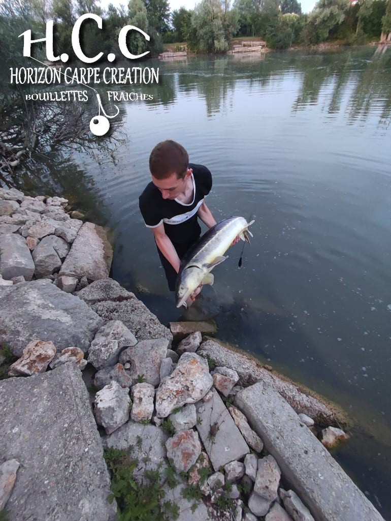 PIERRE CORMON - CLIENT HCC