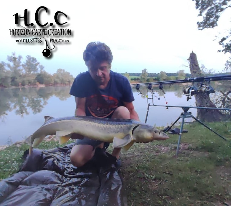 PIERRE CORMON - CLIENT HCC