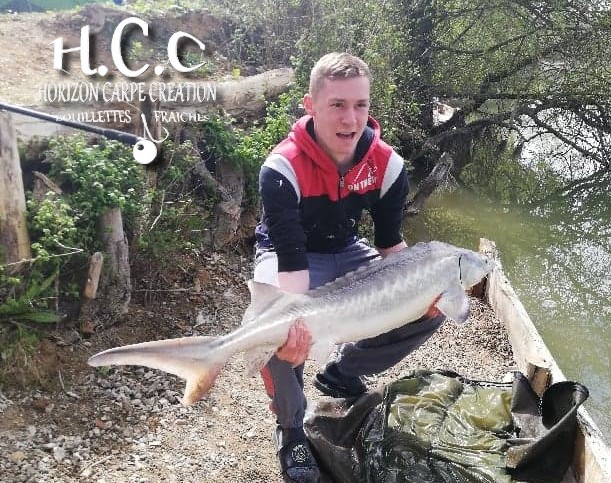 PIERRE CORMON - CLIENT HCC 