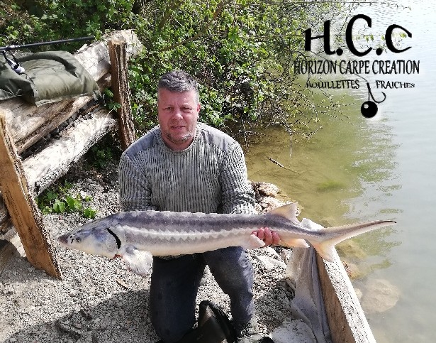 PIERRE CORMON - CLIENT HCC