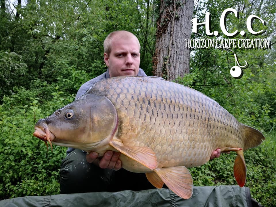  PIERRE VIOGNIER - TEAM HCC IDF