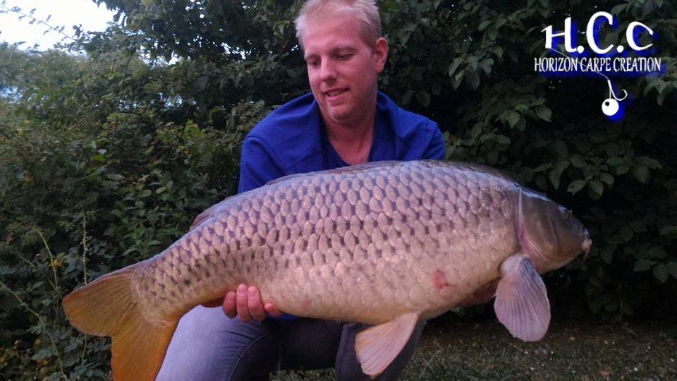 PIERRE VIOGNIER - CONSULTANT HCC