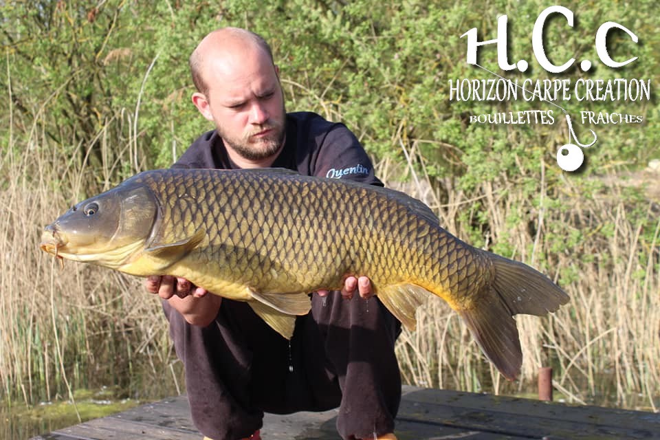 QUENTIN ZAMBELLI - TEAM HCC ILE DE FRANCE