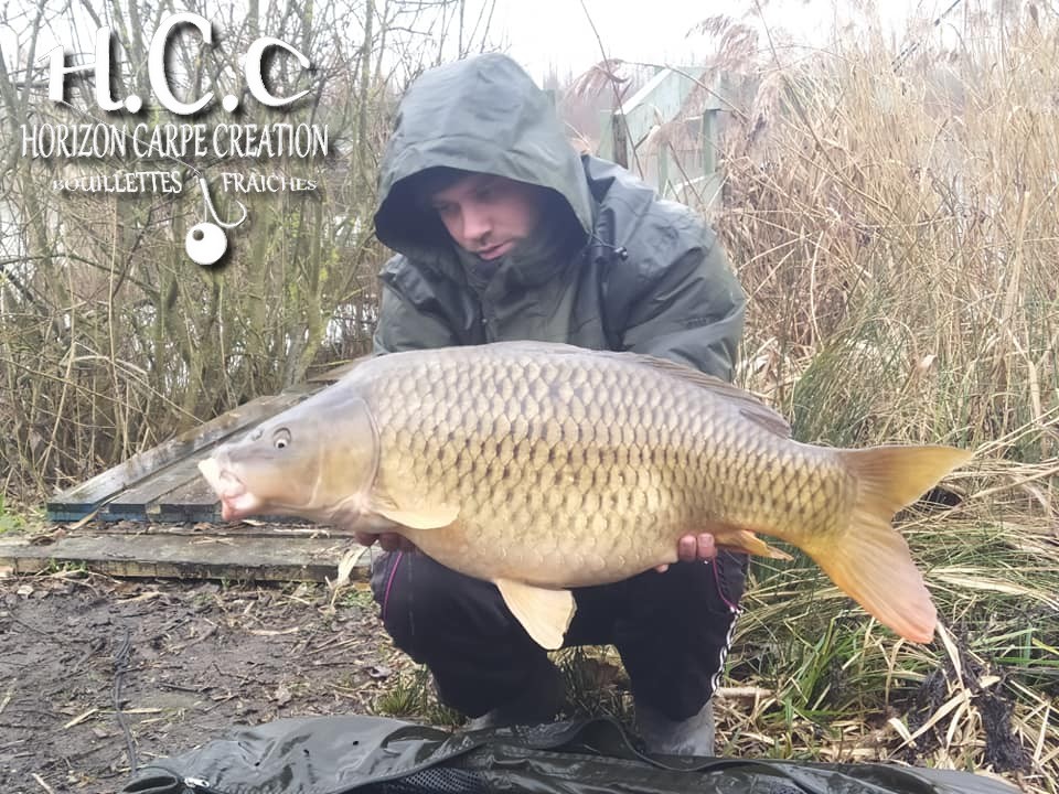 QUENTIN ZAMBELLI - TEAM HCC