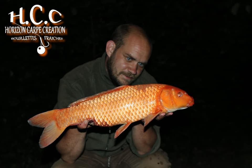 QUENTIN ZAMBELLI - TEAM HCC