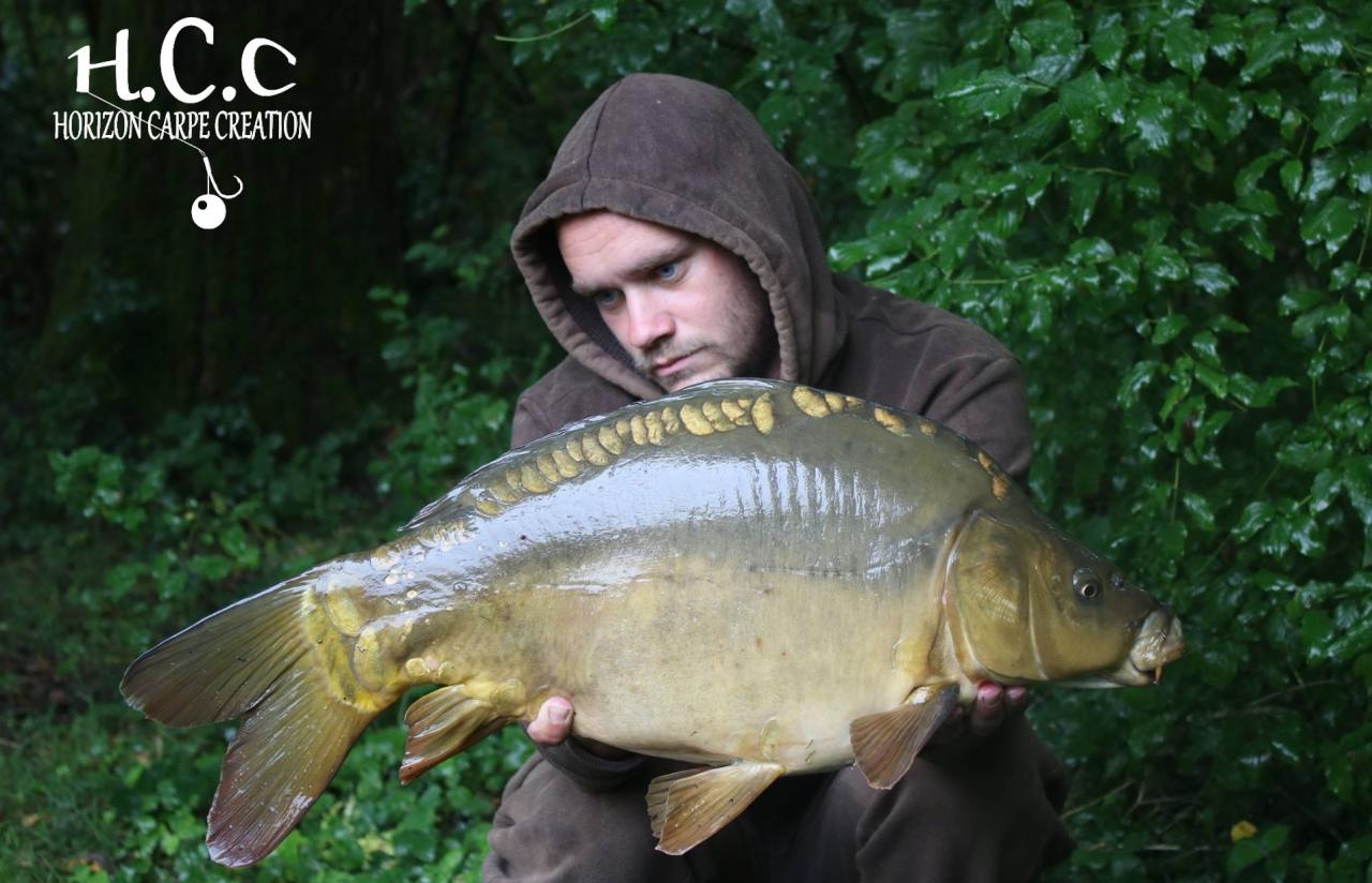 QUENTIN ZAMBELLI - TEAM HCC IDF