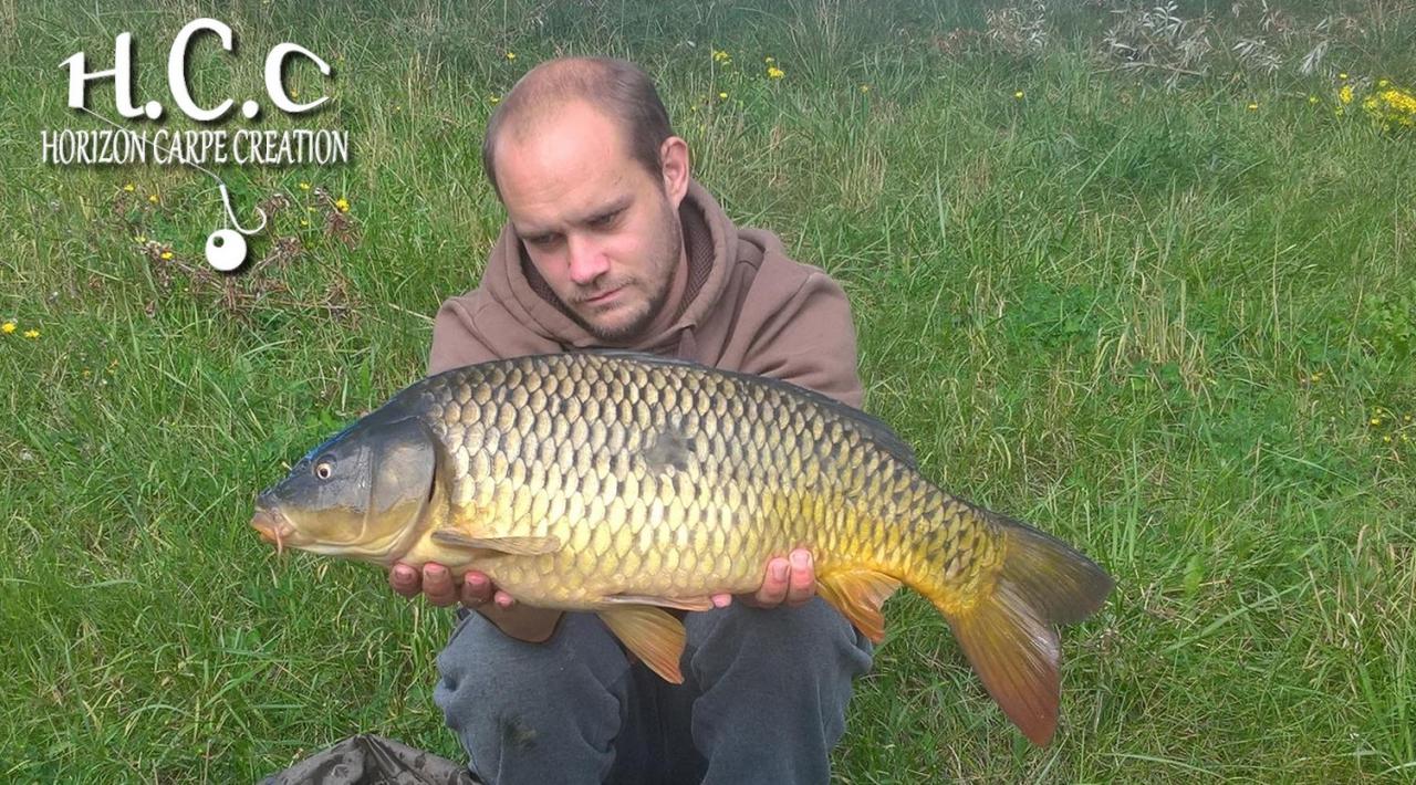 QUENTIN ZAMBELLI - TEAM HCC IDF