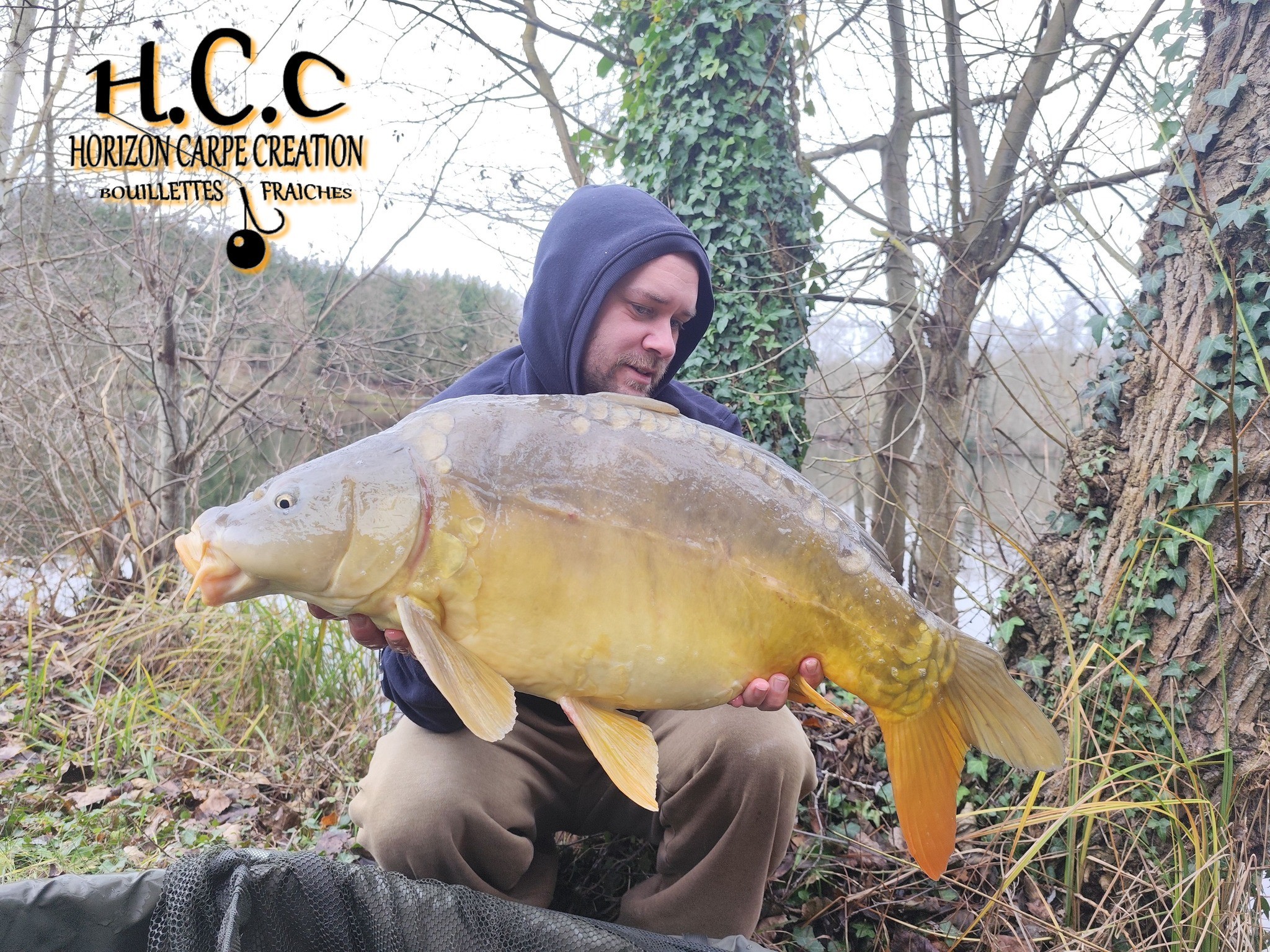 QUENTIN ZAMBELLI - TESTEUR HCC