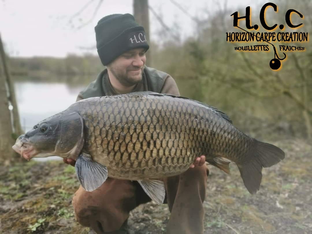 QUENTIN ZAMBELLI - CONSULTANT HCC