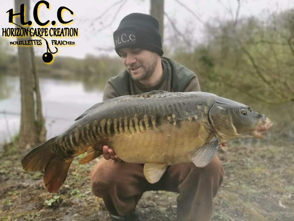 QUENTIN ZAMBELLI - CONSULTANT HCC