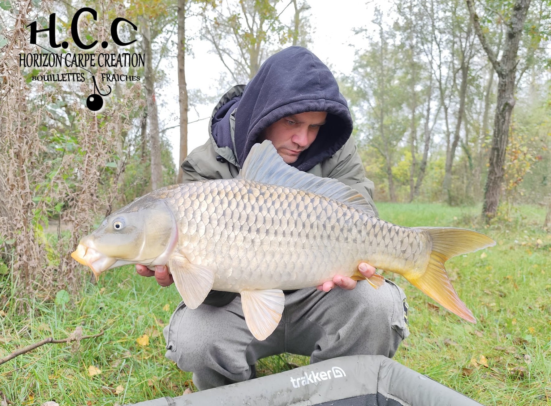 QUENTIN ZAMBELLI - TESTEUR HCC