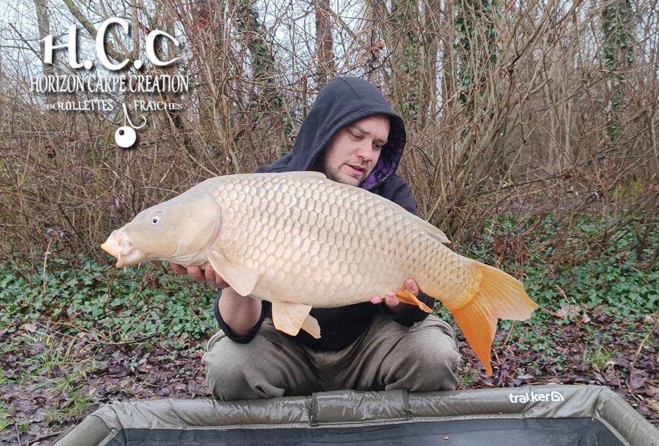 QUENTIN ZAMBELLI - TESTEUR HCC