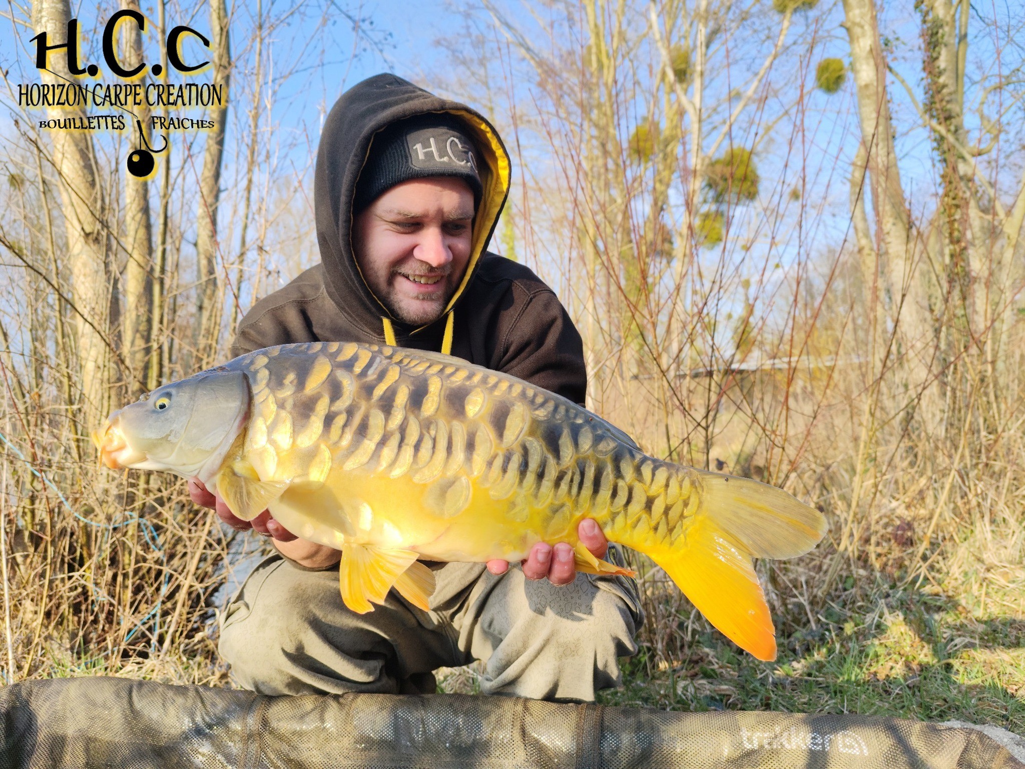 QUENTIN ZAMBELLI - TESTEUR HCC