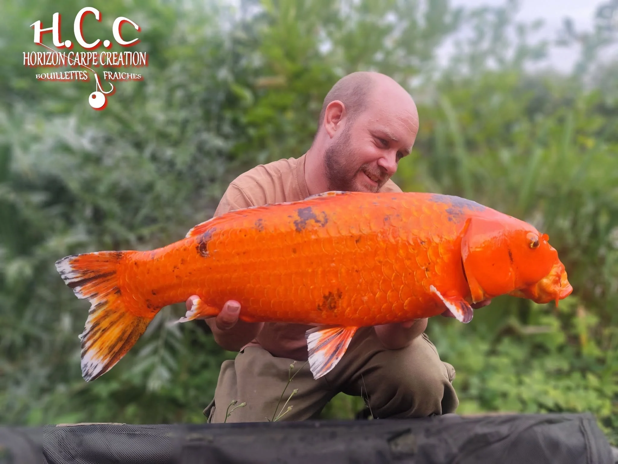 QUENTIN ZAMBELLI - TESTEUR HCC