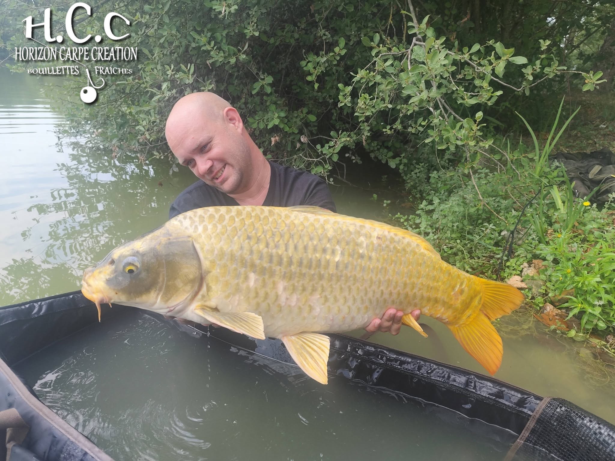 QUENTIN ZAMBELLI - TESTEUR HCC