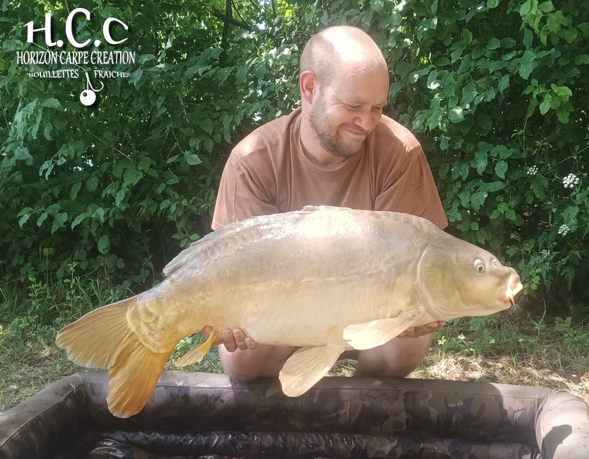 QUENTIN ZAMBELLI - TESTEUR HCC