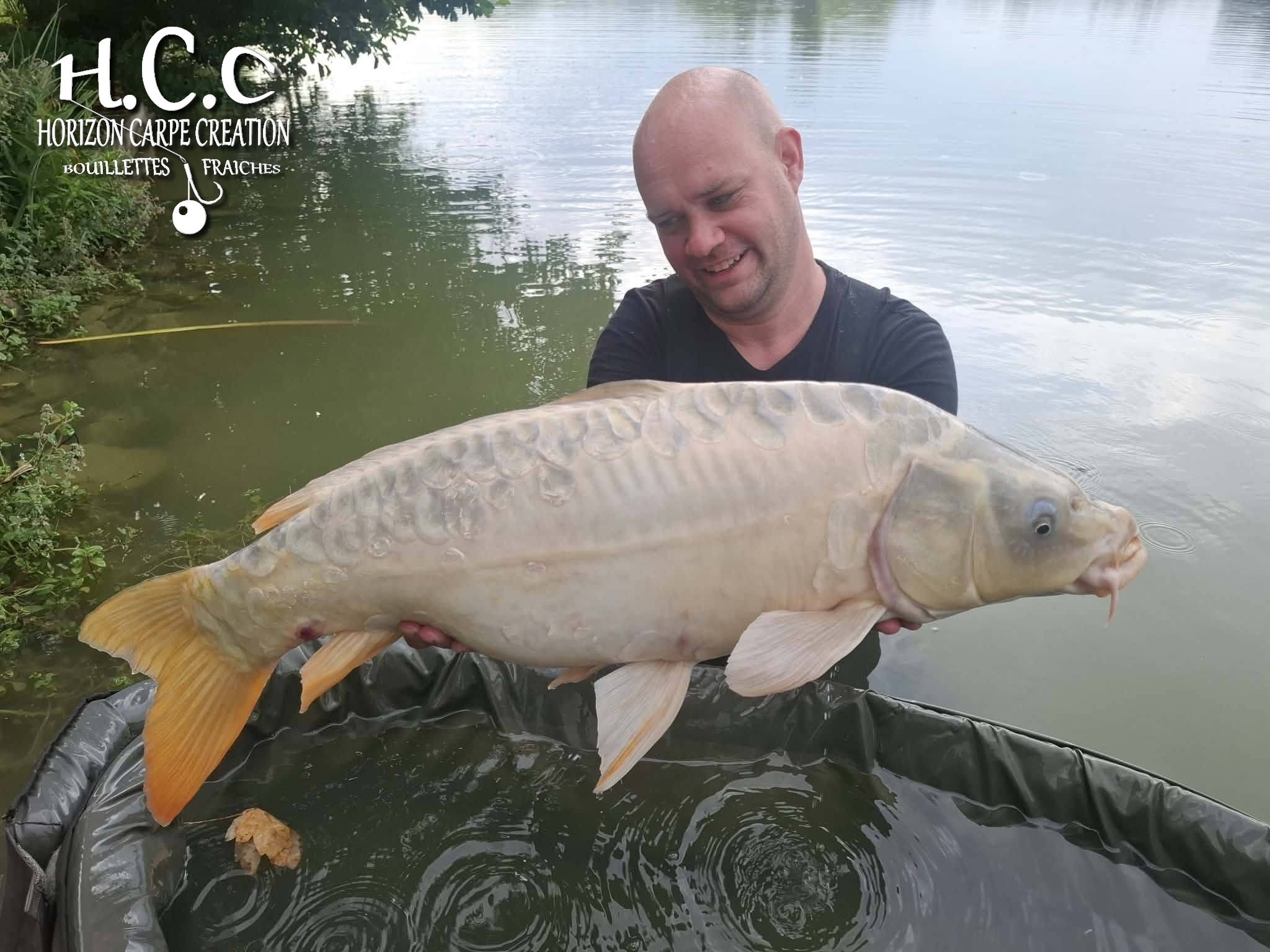 QUENTIN ZAMBELLI - TESTEUR HCC