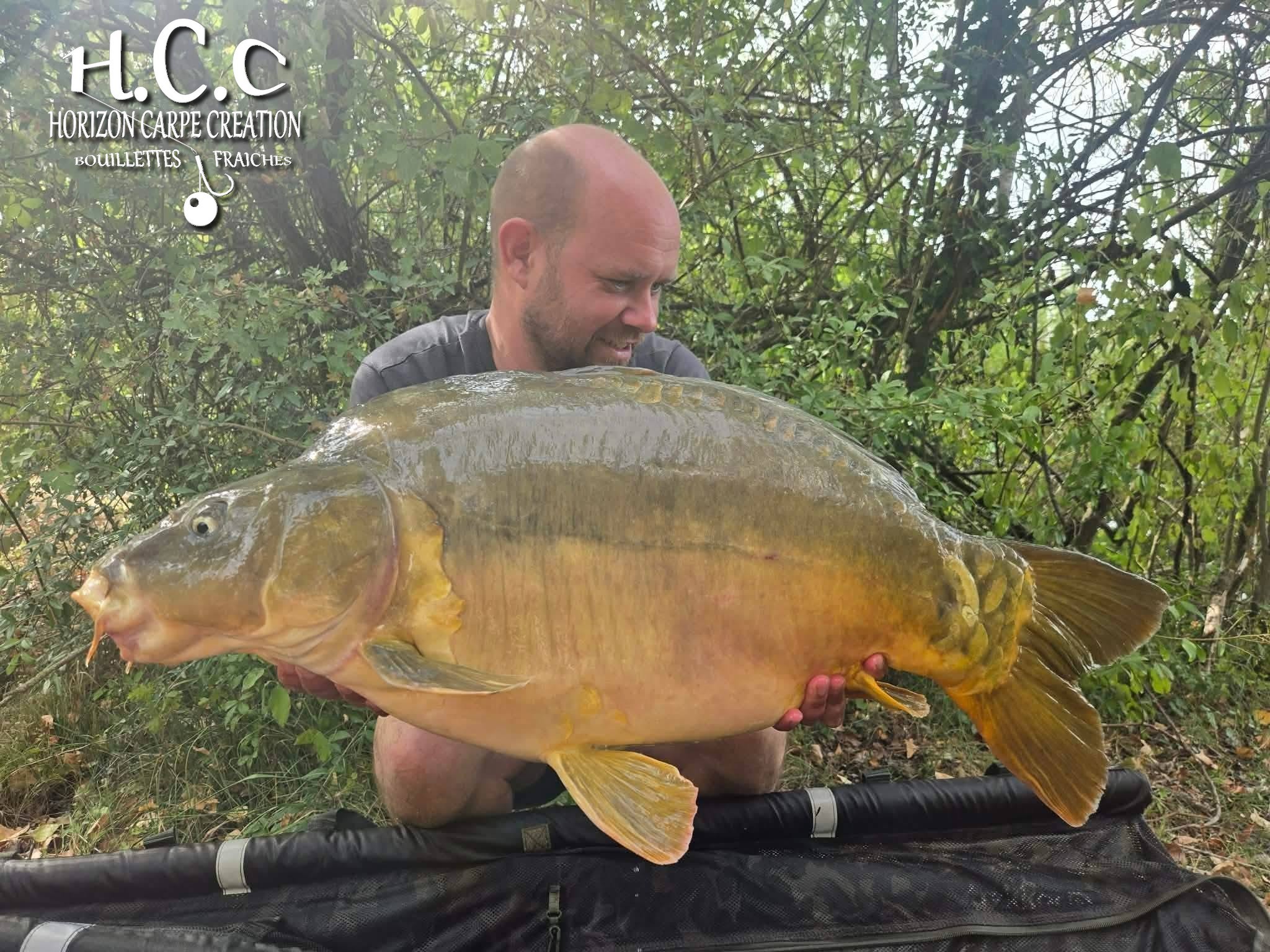QUENTIN ZAMBELLI - TESTEUR HCC