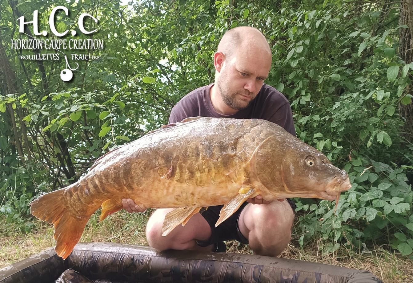 QUENTIN ZAMBELLI - TESTEUR HCC