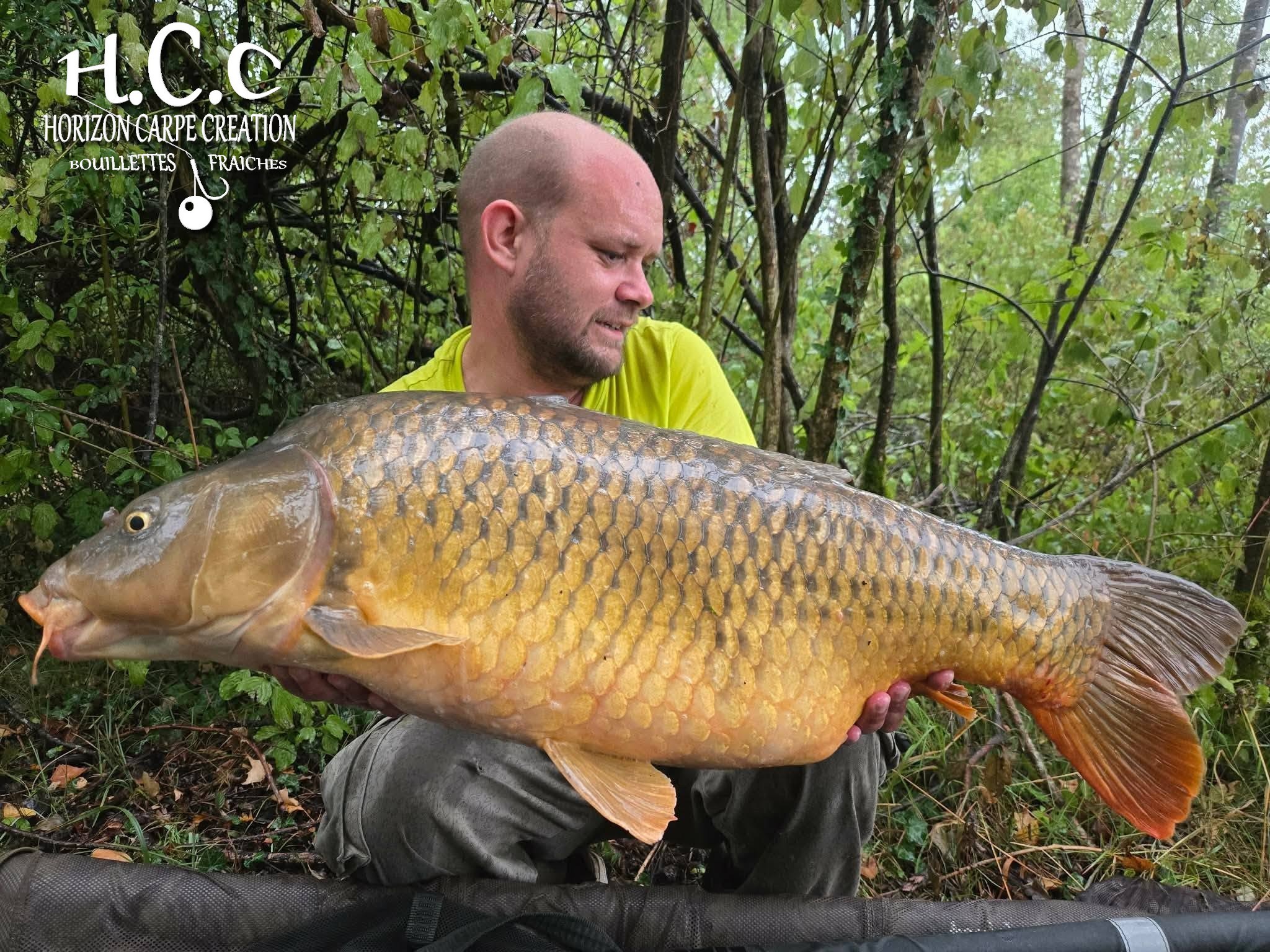 QUENTIN ZAMBELLI - TESTEUR HCC