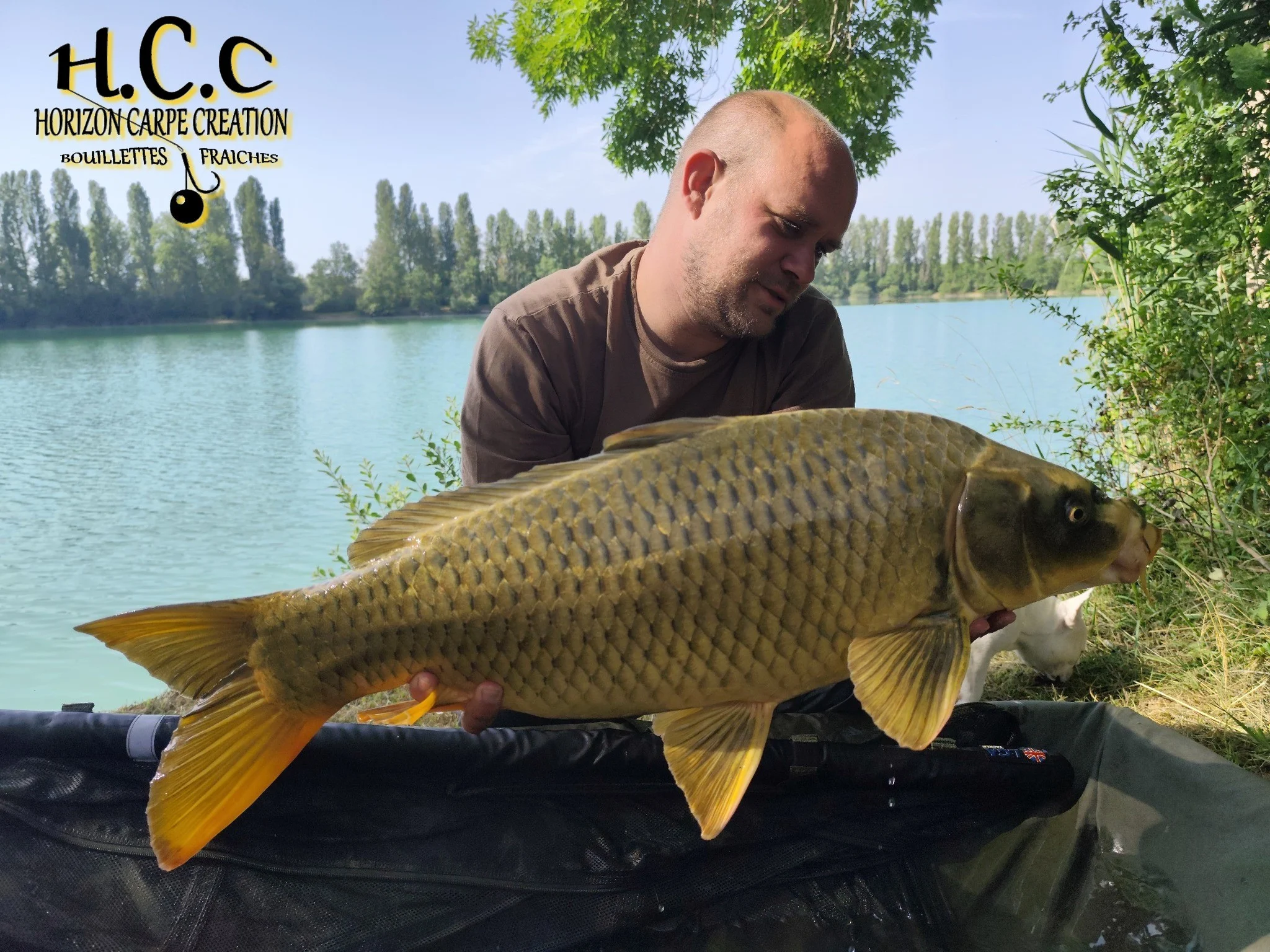 QUENTIN ZAMBELLI - TESTEUR HCC