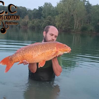 QUENTIN ZAMBELLI - CONSULTANT HCC