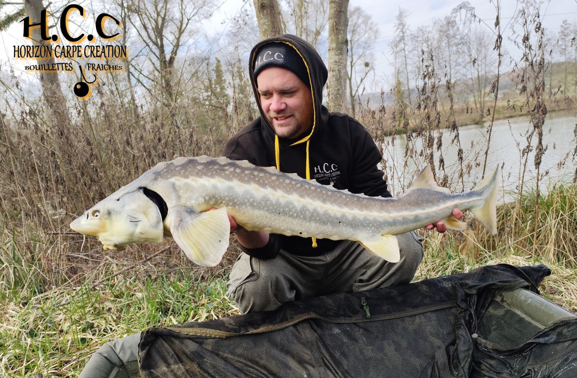 QUENTIN ZAMBELLI - TESTEUR HCC