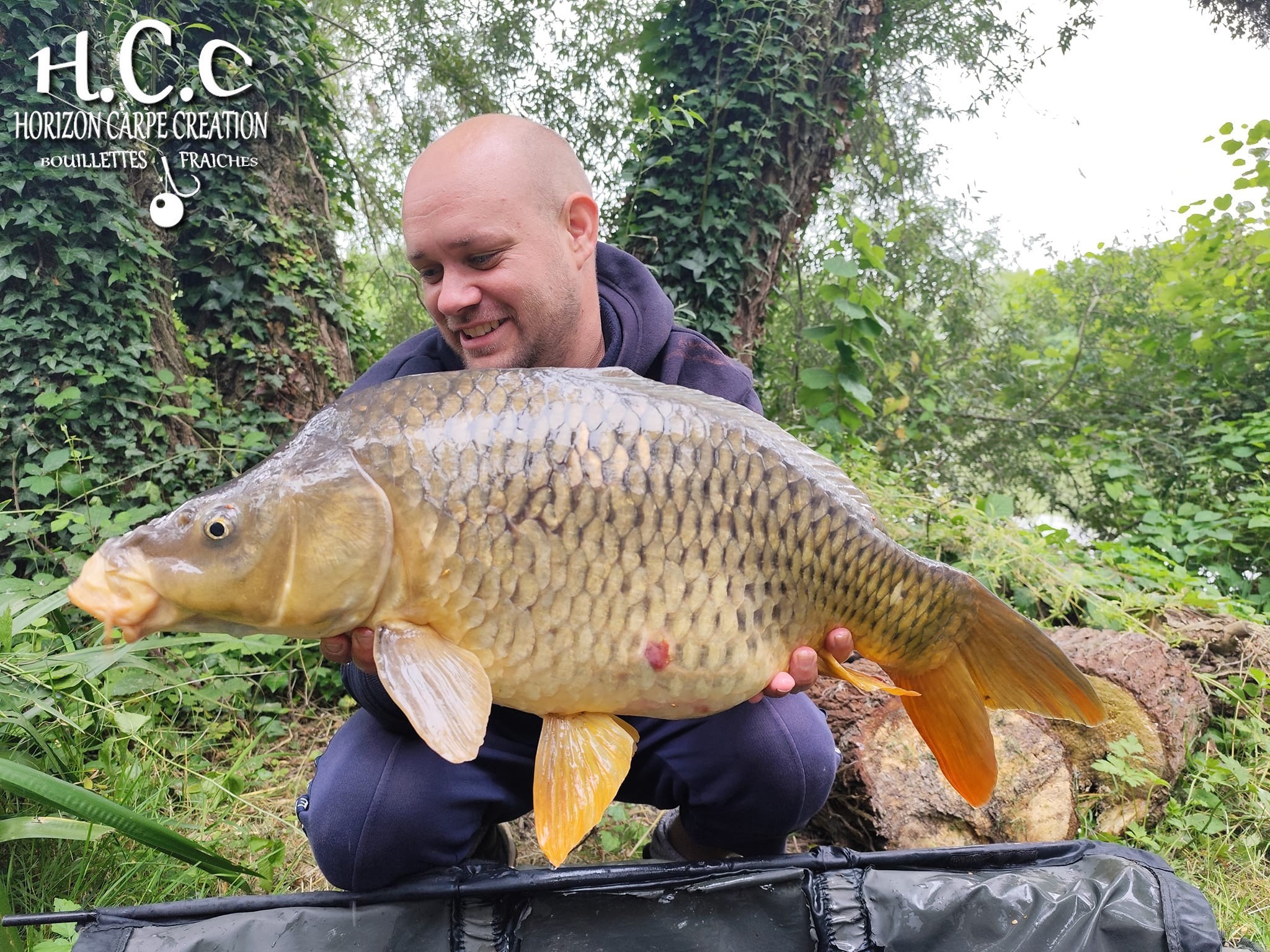 QUENTIN ZAMBELLI - TESTEUR HCC