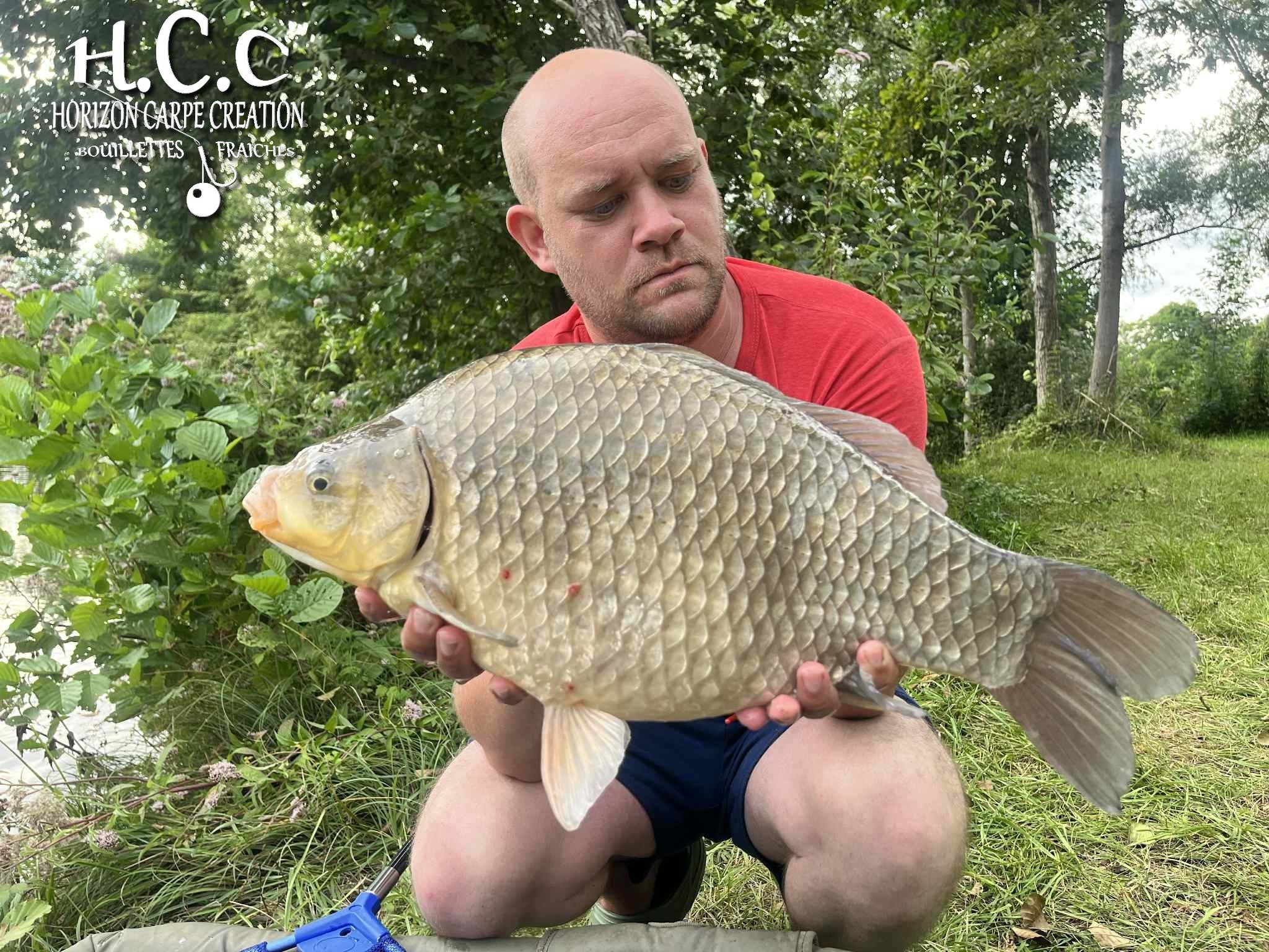 QUENTIN ZAMBELLI - TESTEUR HCC