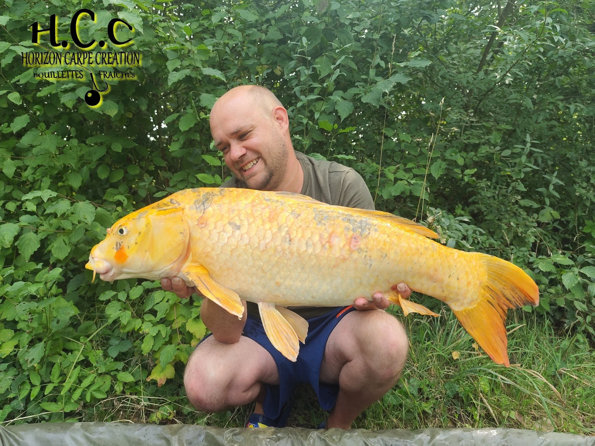 QUENTIN ZAMBELLI - TESTEUR HCC