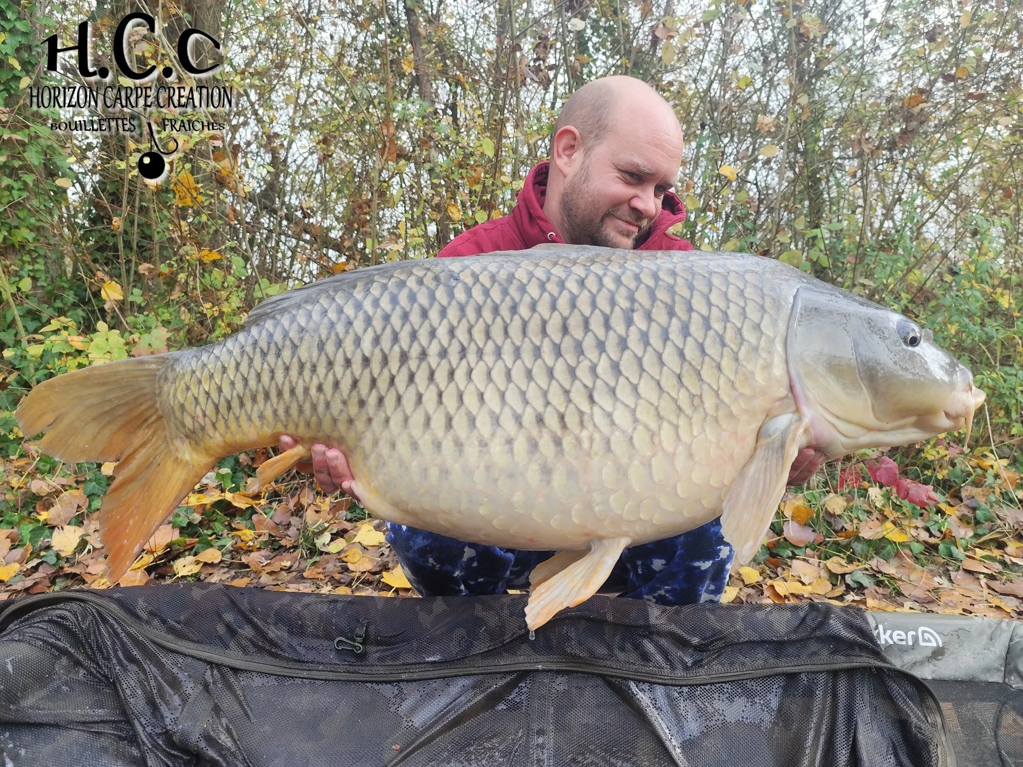 QUENTIN ZAMBELLI - TESTEUR HCC