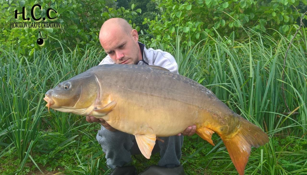 QUENTIN ZAMBELLI - CLIENT HCC
