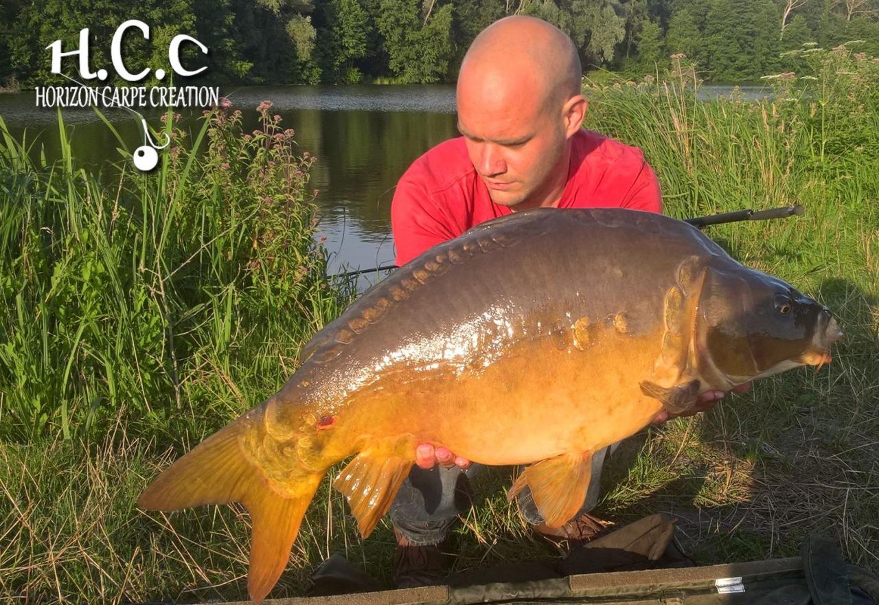 QUENTIN ZAMBELLI - CLIENT HCC