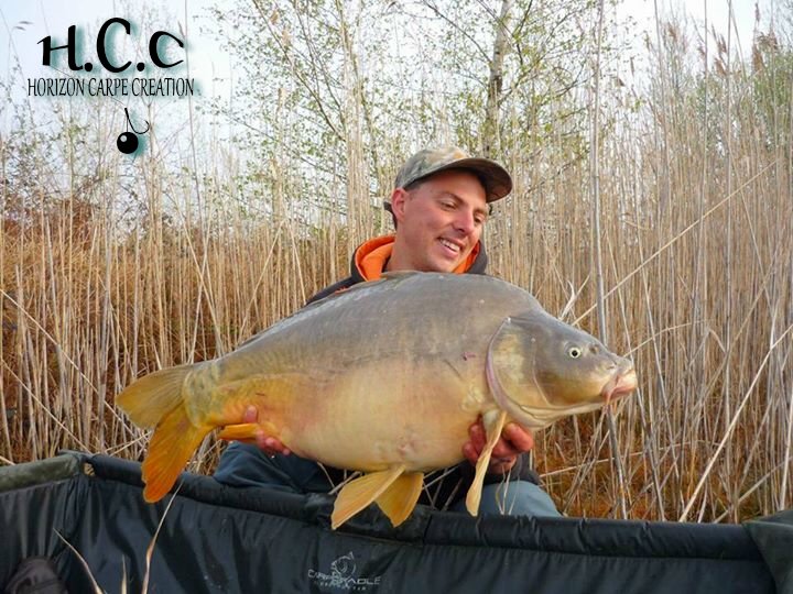 REMIS - CLIENT HCC
