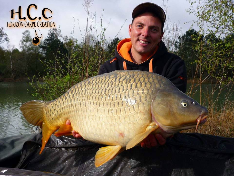 REMIS - CLIENT HCC