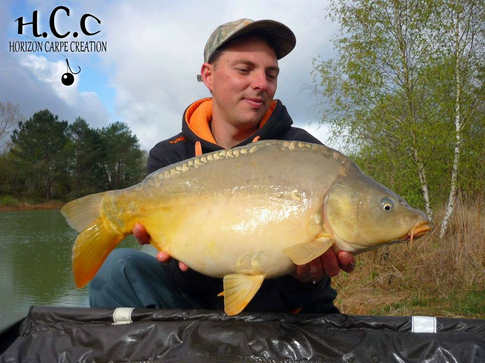 REMIS - CLIENT HCC