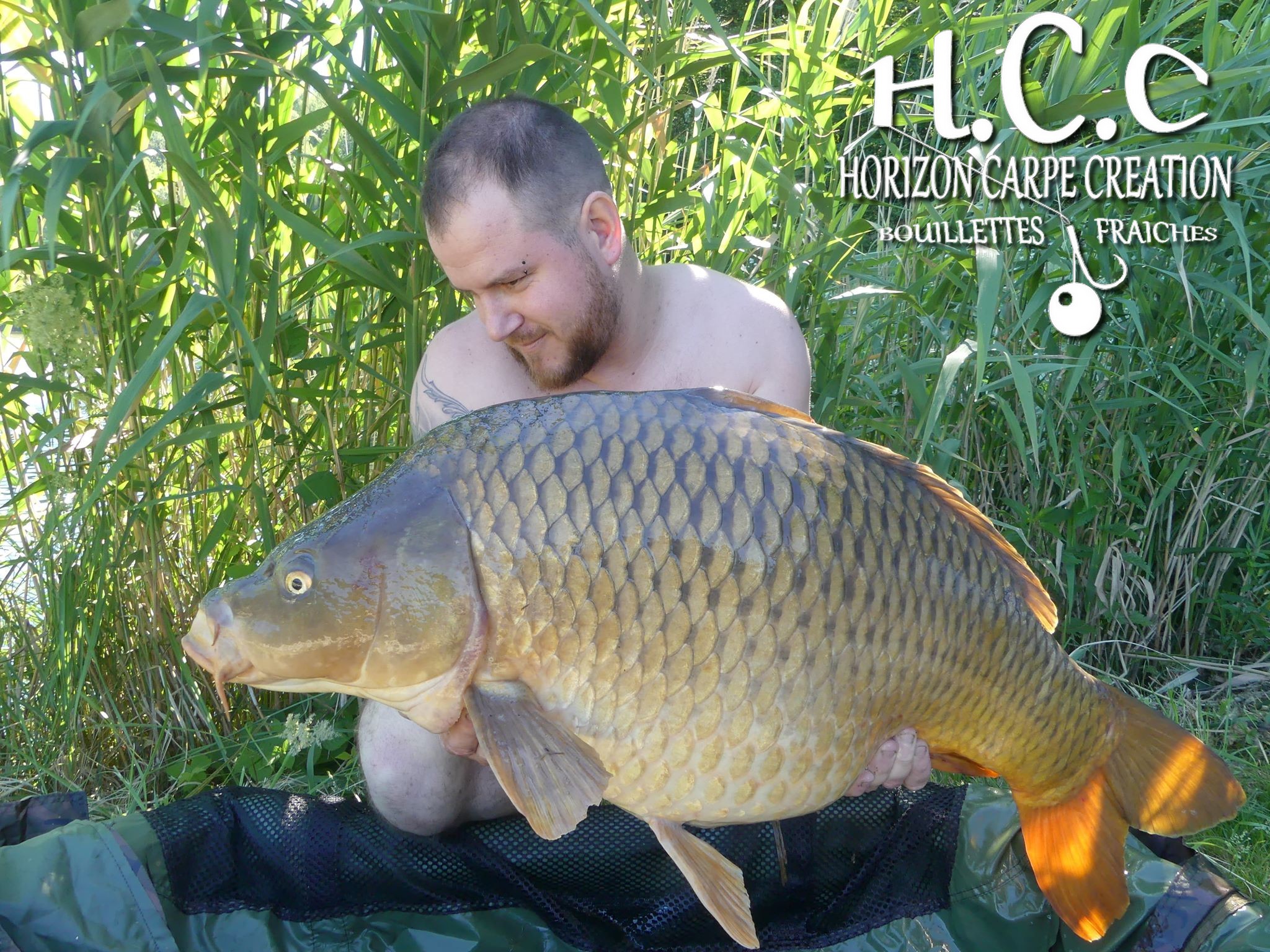 ROMAIN AGON - CLIENT HCC