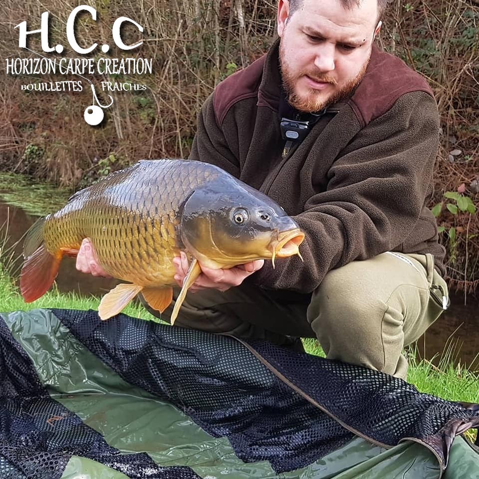 ROMAIN AGON - CLIENT HCC