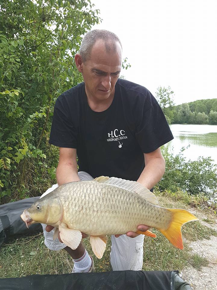SEBASTIEN LEJEUNE - CONSULTANT HCC