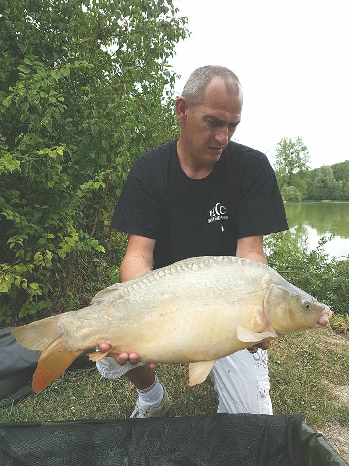 SEBASTIEN LEJEUNE - CONSULTANT HCC