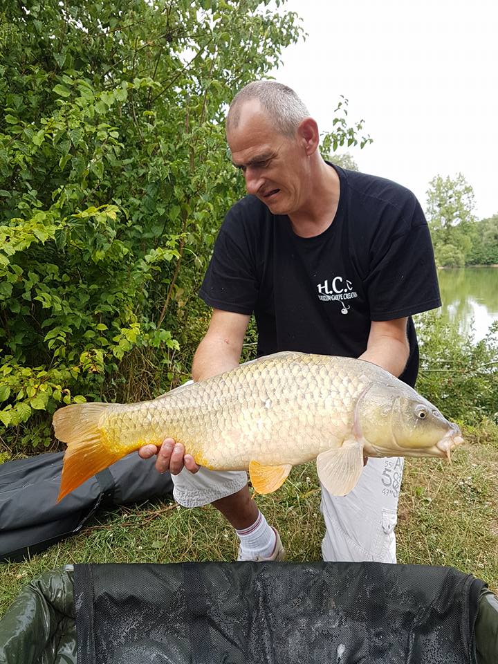 SEBASTIEN LEJEUNE - CONSULTANT HCC