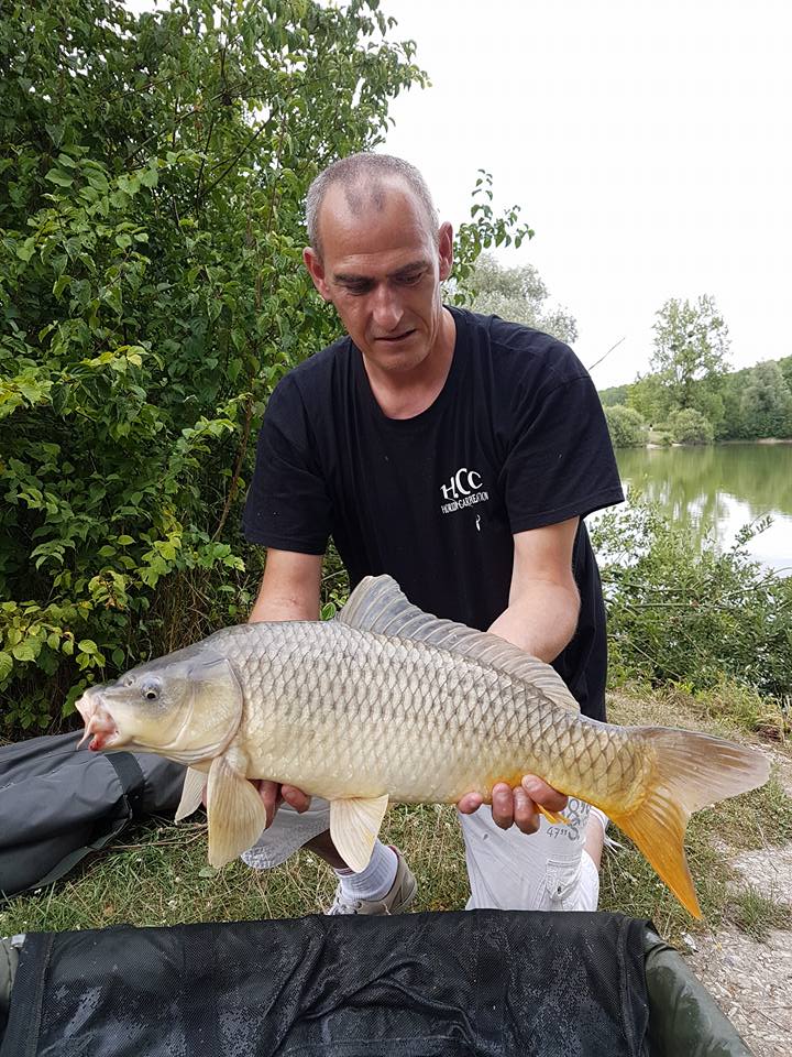 SEBASTIEN LEJEUNE - CONSULTANT HCC