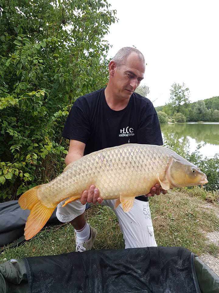 SEBASTIEN LEJEUNE - CONSULTANT HCC