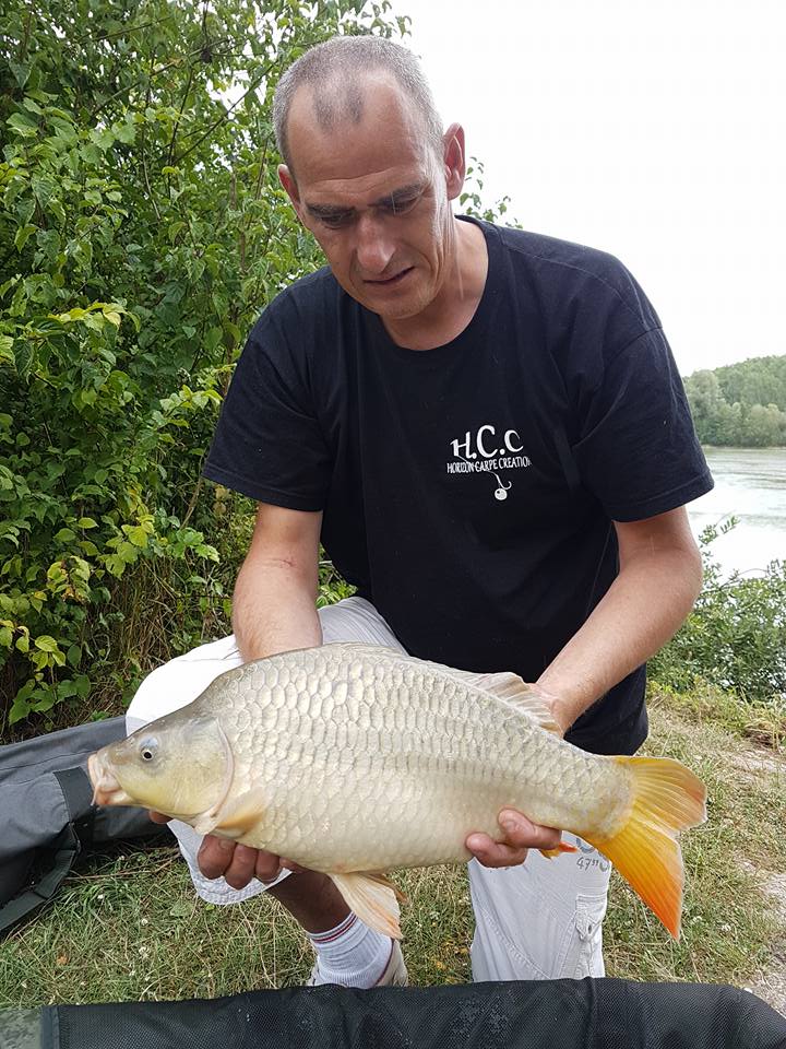 SEBASTIEN LEJEUNE - CONSULTANT HCC