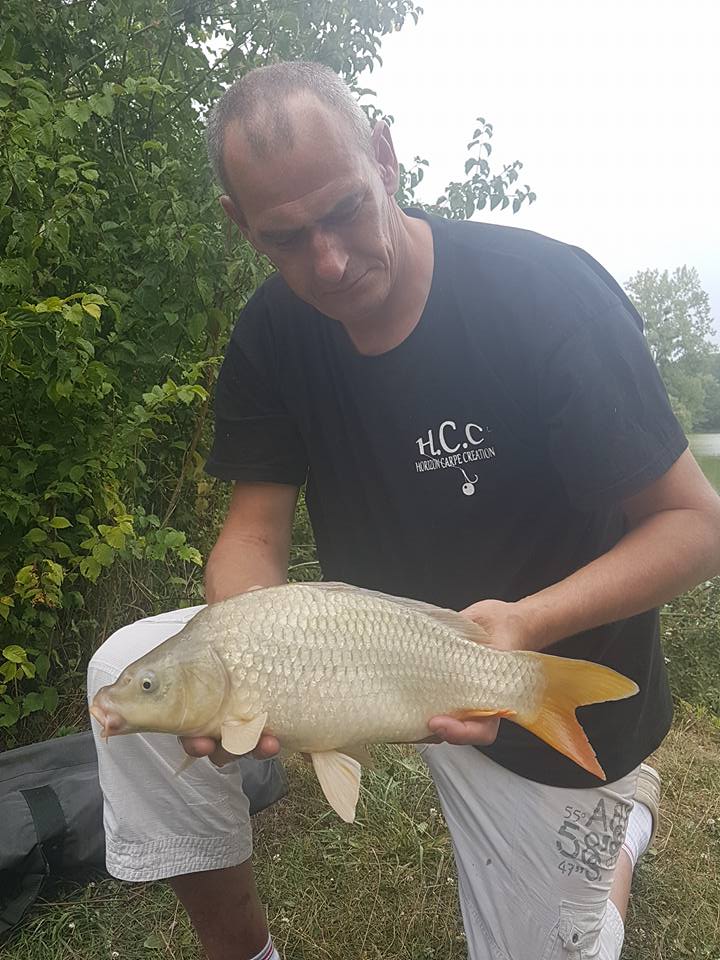 SEBASTIEN LEJEUNE - CONSULTANT HCC