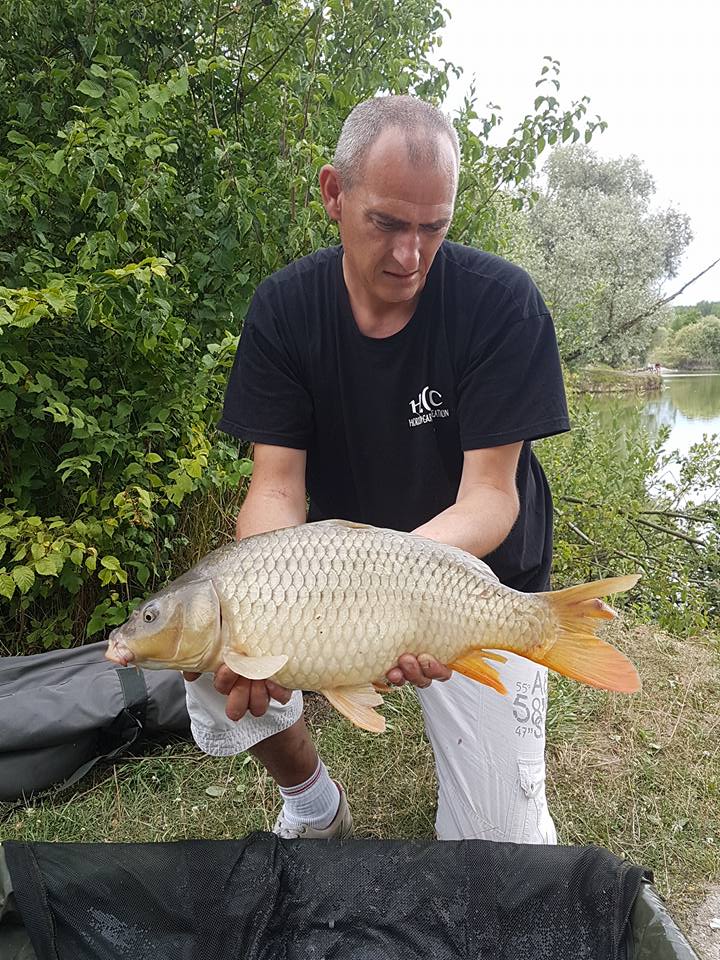SEBASTIEN LEJEUNE - CONSULTANT HCC
