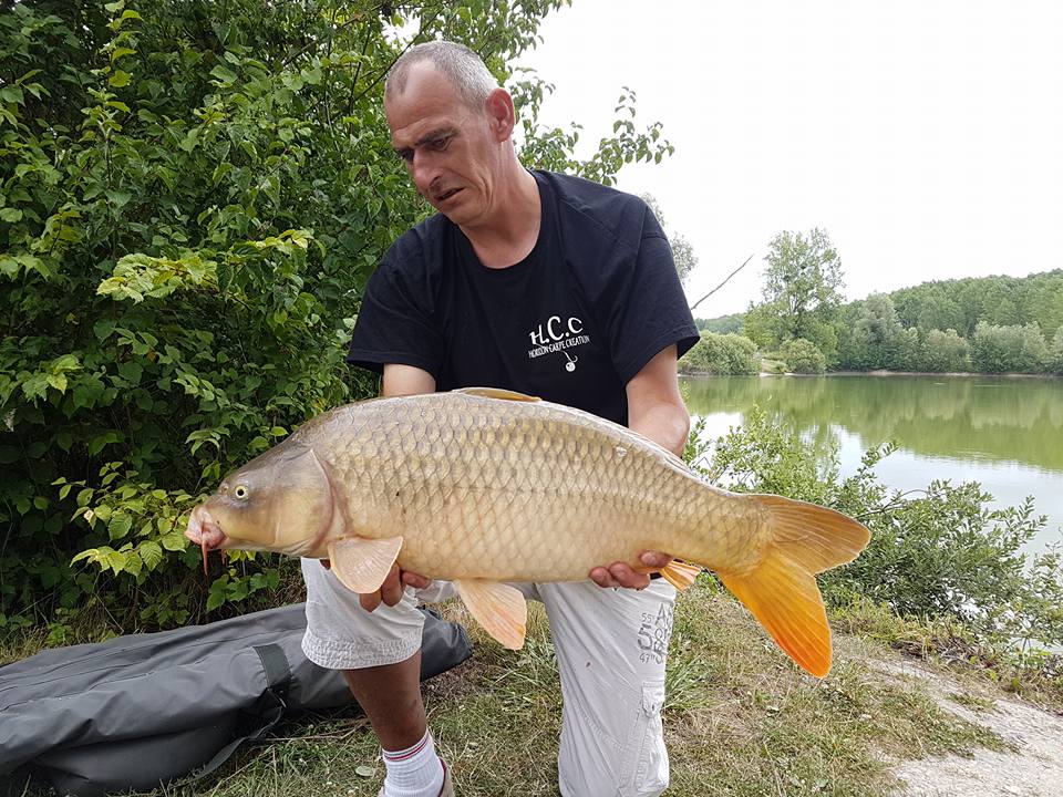 SEBASTIEN LEJEUNE - CONSULTANT HCC