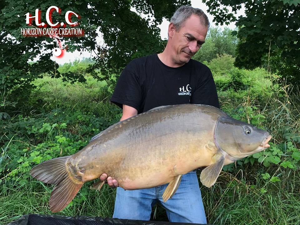 SEBASTIEN LEJEUNE - CONSULTANT HCC