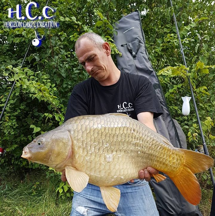 SEBASTIEN LEJEUNE - CONSULTANT HCC