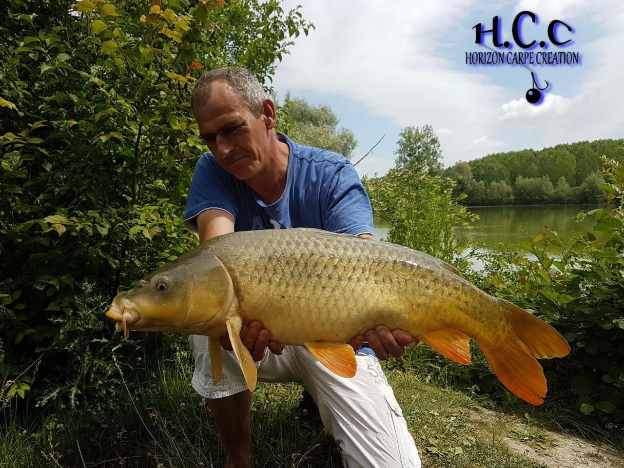 SEBASTIEN LEJEUNE - CONSULTANT HCC